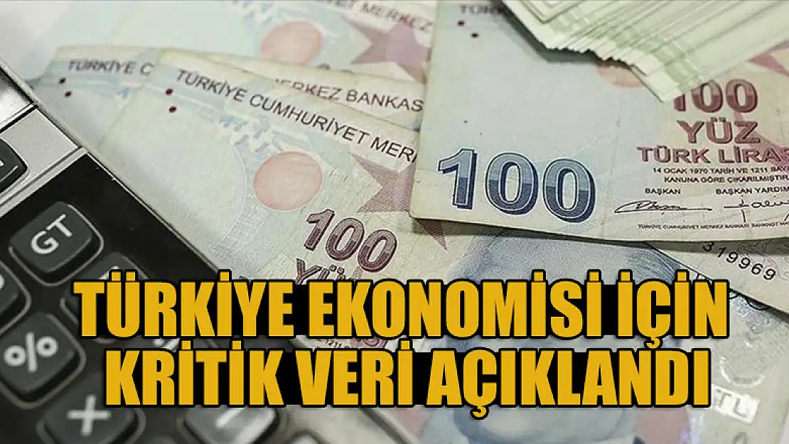 Türkiye ekonomisi için kritik veri açıklandı