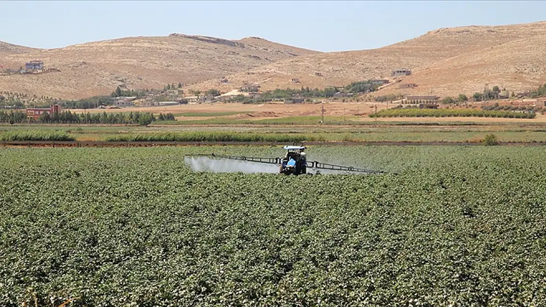 Tarım Kredi gübre fiyatlarında yüzde 30'a varan indirim yaptı