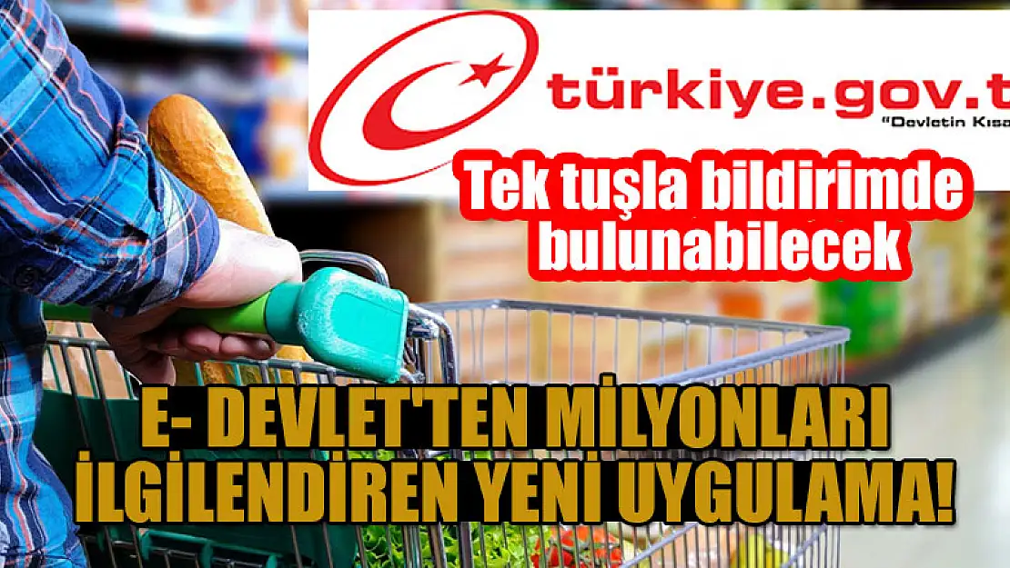 E- Devlet'ten milyonları ilgilendiren yeni uygulama! Tek tuşla bildirimde bulunabilecek