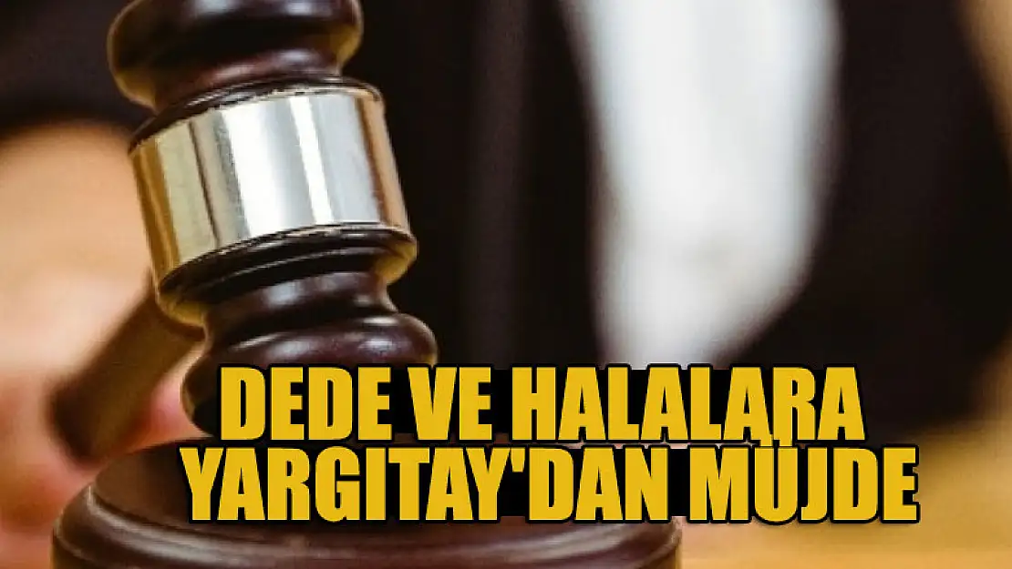 Dede ve halalara Yargıtay'dan müjde