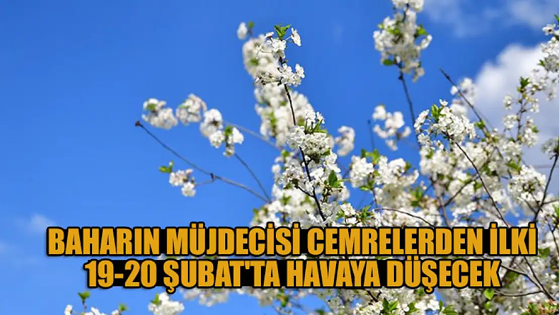 Baharın müjdecisi cemrelerden ilki 19-20 Şubat'ta havaya düşecek