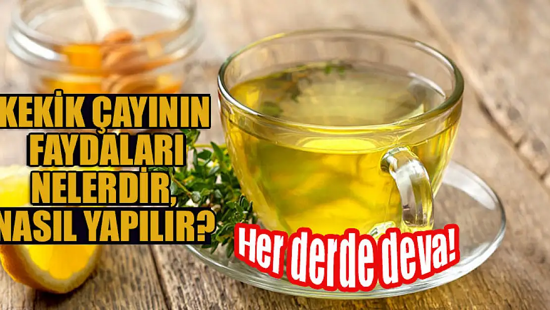 Kekik çayı, suyu her derde deva! Kekik çayının faydaları nelerdir, nasıl yapılır?