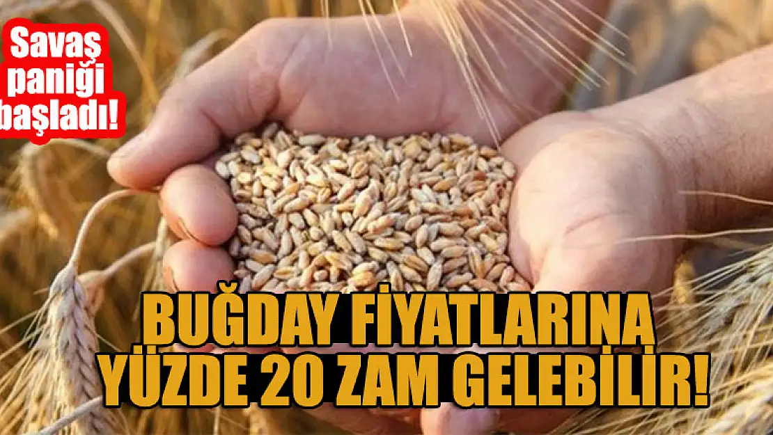 Savaş paniği başladı: Buğday fiyatlarına yüzde 20 zam gelebilir