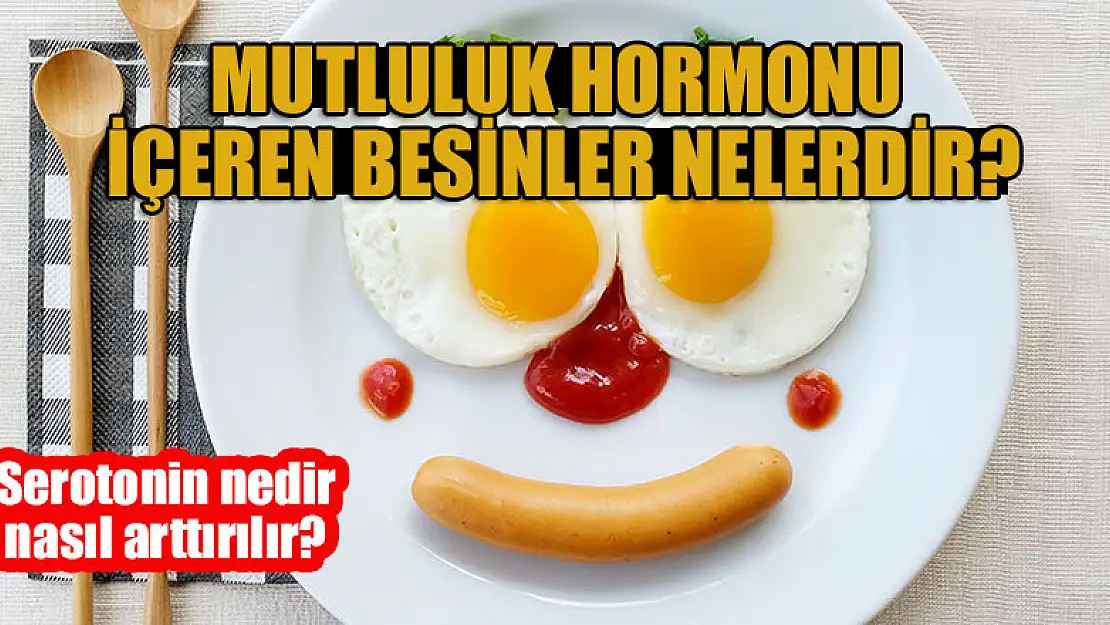 Mutluluk hormonu içeren besinler nelerdir? Serotonin nedir, nasıl arttırılır?