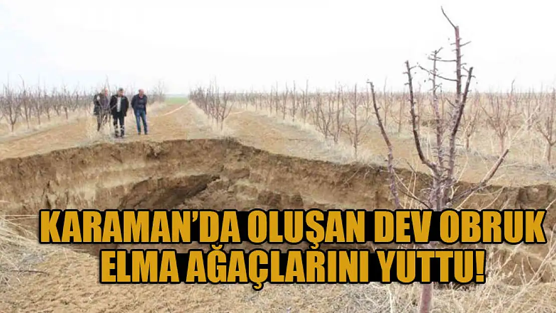 Karaman'da oluşan dev obruk, elma ağaçlarını yuttu