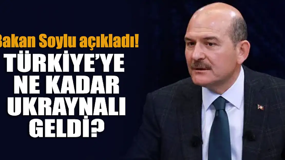 Bakan Soylu, Türkiye'ye gelen Ukraynalı sayısını açıkladı