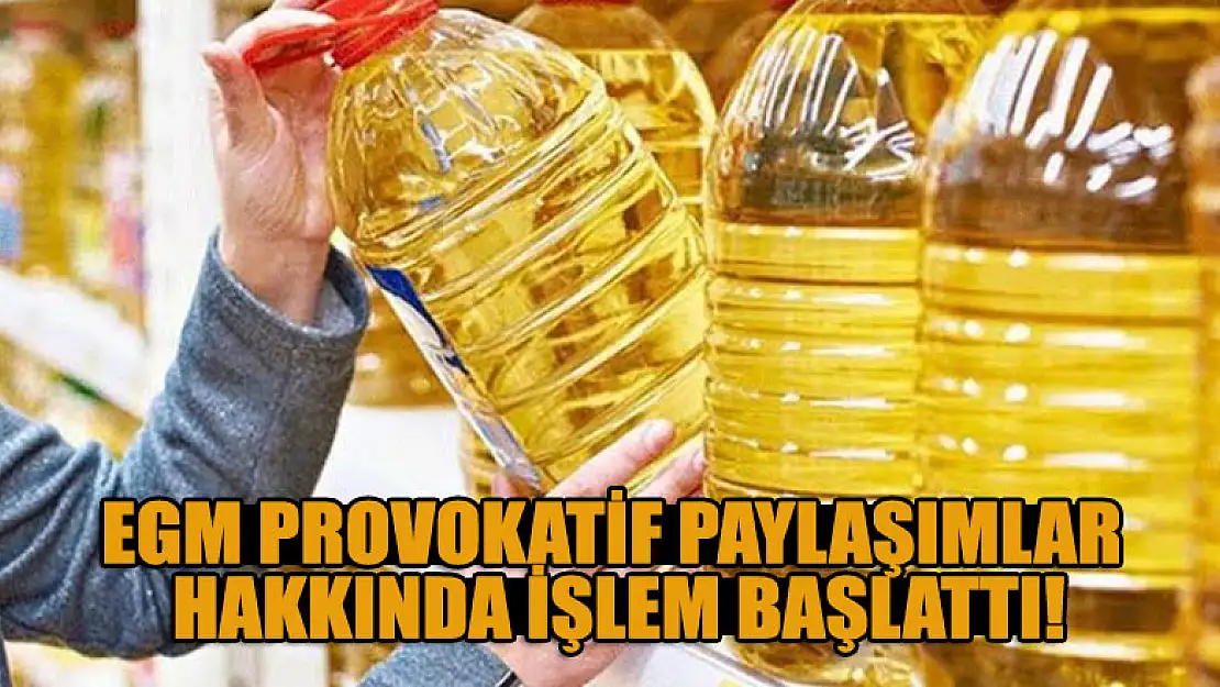 EGM provokatif paylaşımlar hakkında işlem başlattı