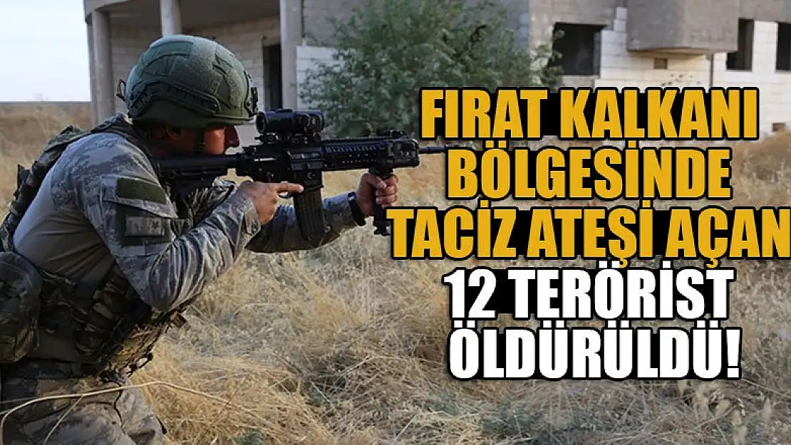 Fırat Kalkanı bölgesinde taciz ateşi açan 12 PKK'lı öldürüldü!