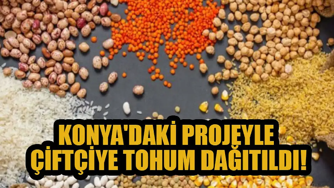 Konya'daki projeyle çiftçiye arpa, mercimek ve nohut tohumu dağıtıldı