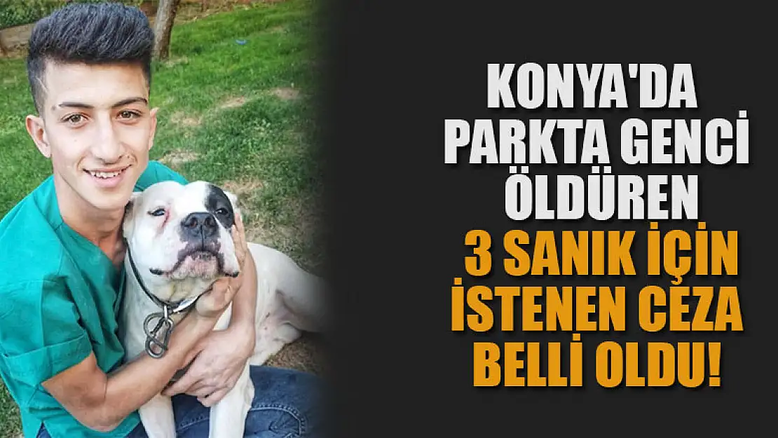 Konya'da parkta genci öldüren 3 sanık için istenen ceza belli oldu!