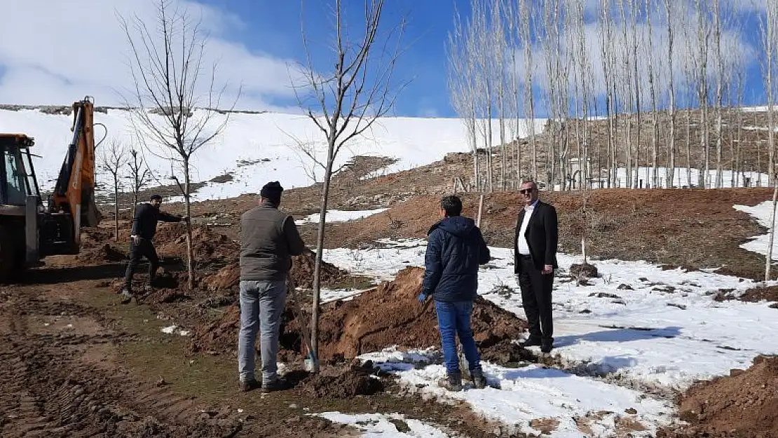 Yunak'ta 'Yeşil Şehirler Huzurlu Nesiller Projesi' başlatıldı