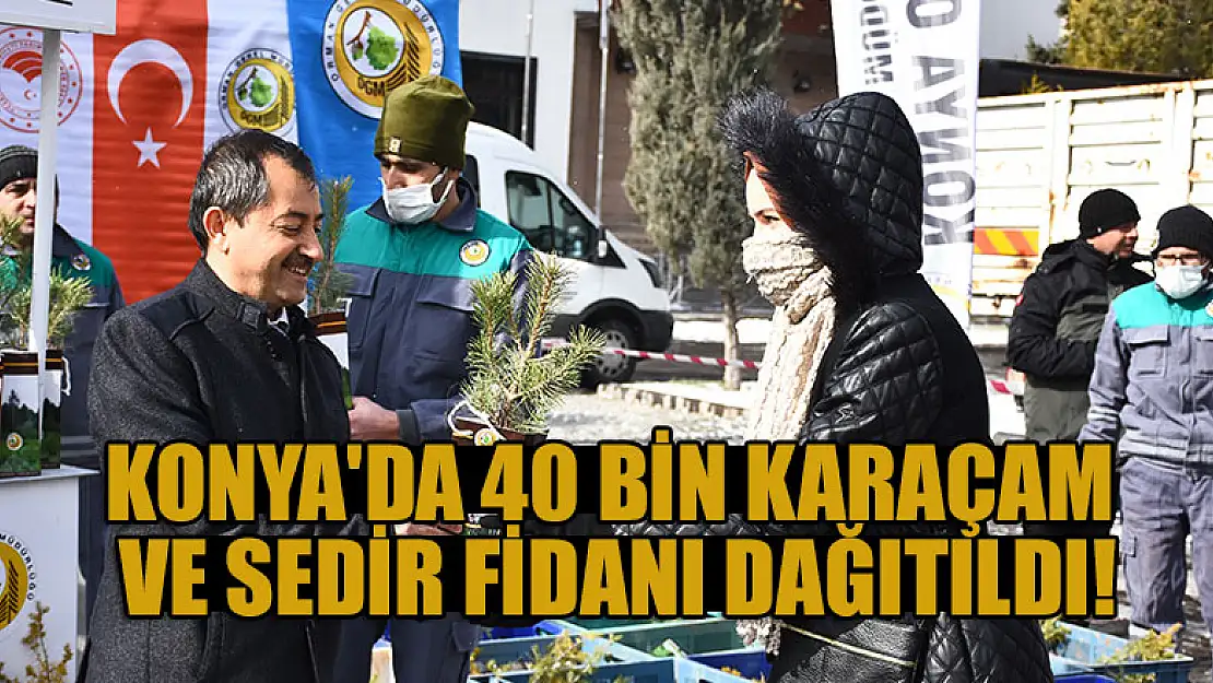 Konya'da 40 bin karaçam ve sedir fidanı dağıtıldı