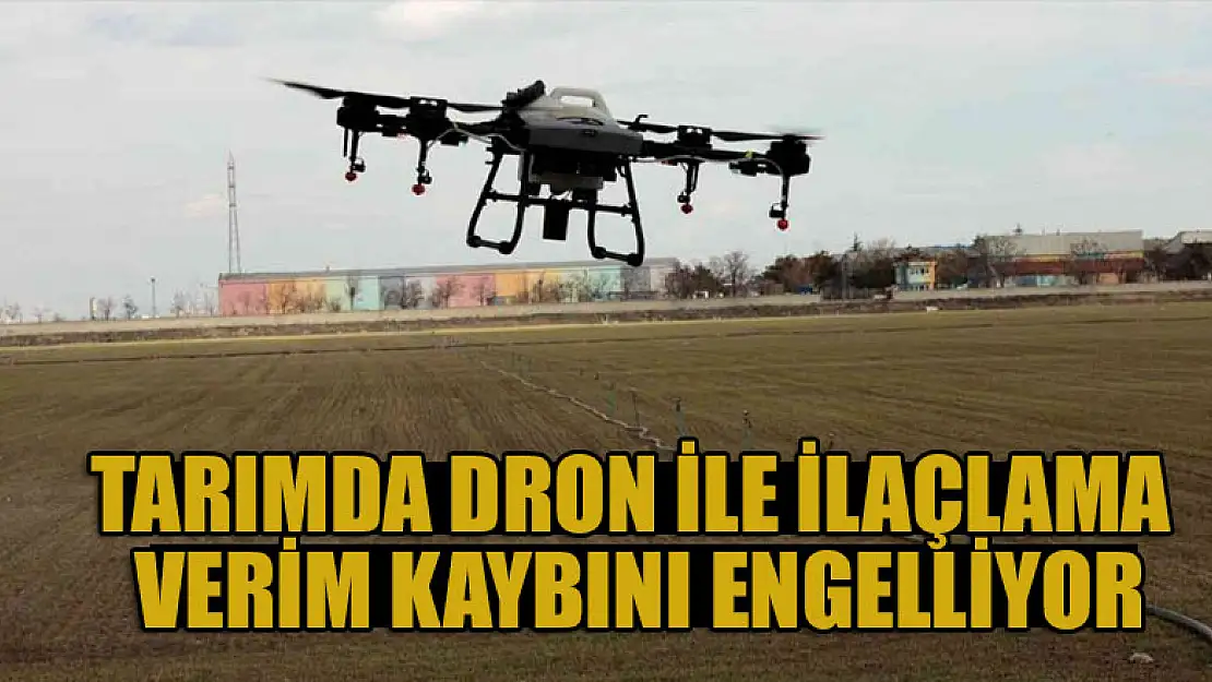 Tarımda dron ile ilaçlama verim kaybını engelliyor