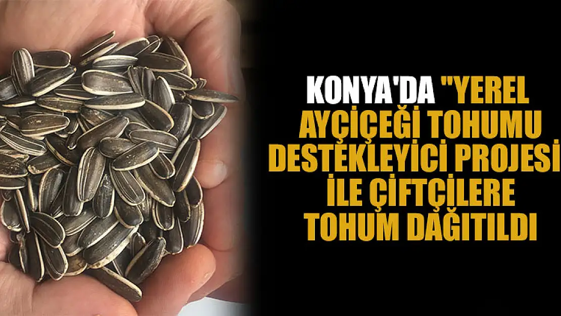 Konya'da 'Yerel Ayçiçeği Tohumu Destekleyici Projesi' ile çiftçilere tohum dağıtıldı