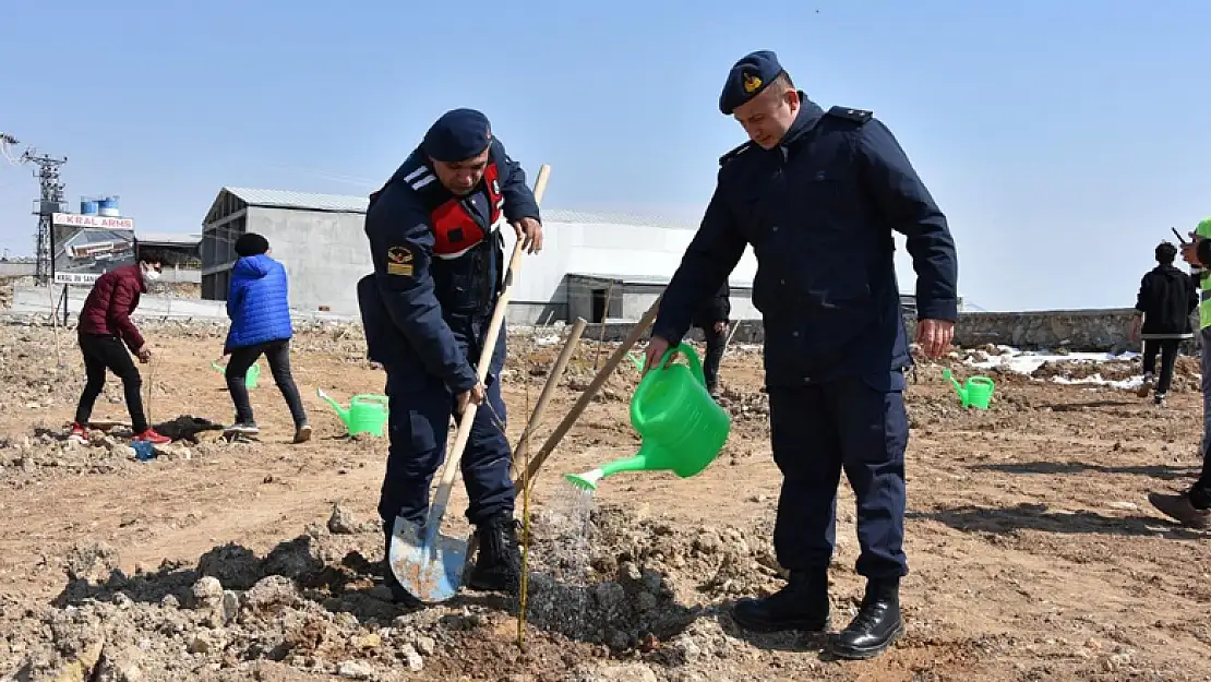 Konya'nın 4 ilçesinde vatandaşlara 20 bin adet ücretsiz fidan dağıtıldı