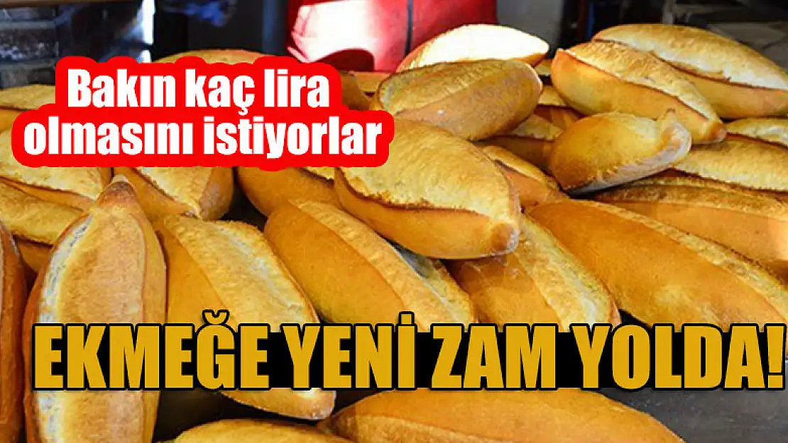 Ekmeğe yeni zam yolda! Bakın kaç lira olmasını istiyorlar