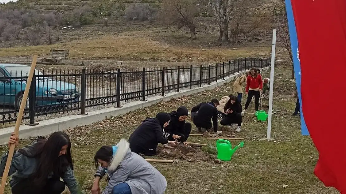 Beyşehir'de üniversite öğrencileri fidanları toprakla buluşturdu