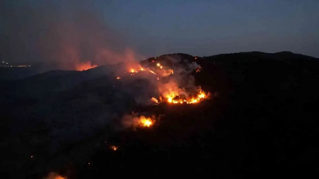 Bilecik'te orman yangını 12 saatin ardından kontrol altına alındı