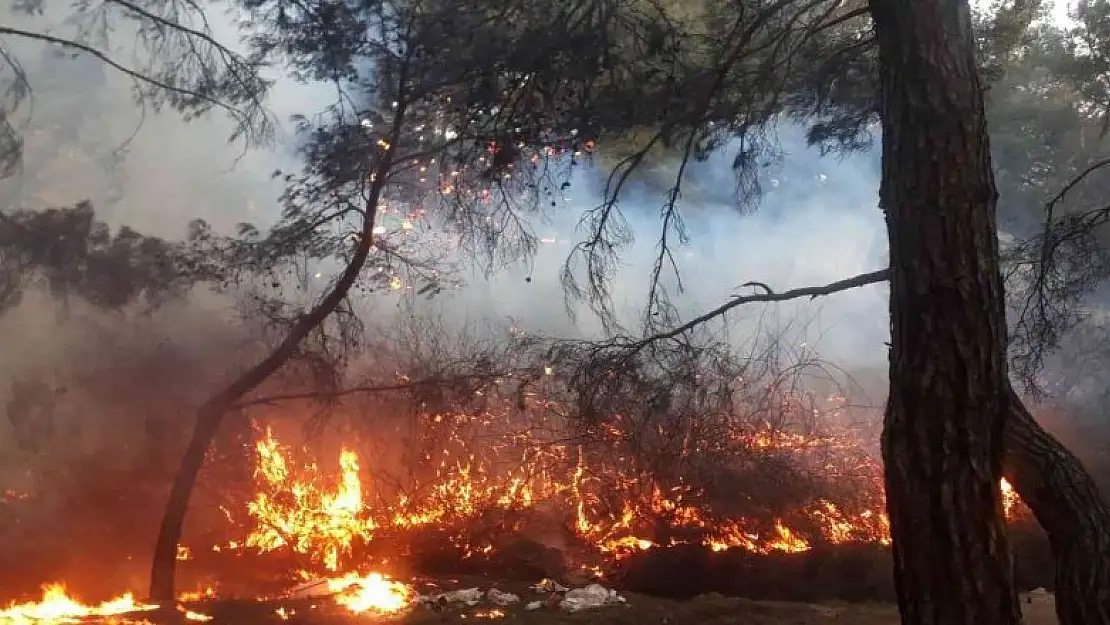 Balıkesir'de orman yangını zamanında müdahale ile kısa sürede söndürüldü