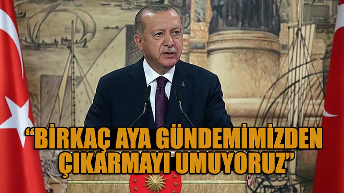 Cumhurbaşkanı Erdoğan: Birkaç aya gündemimizden çıkarmayı umuyoruz