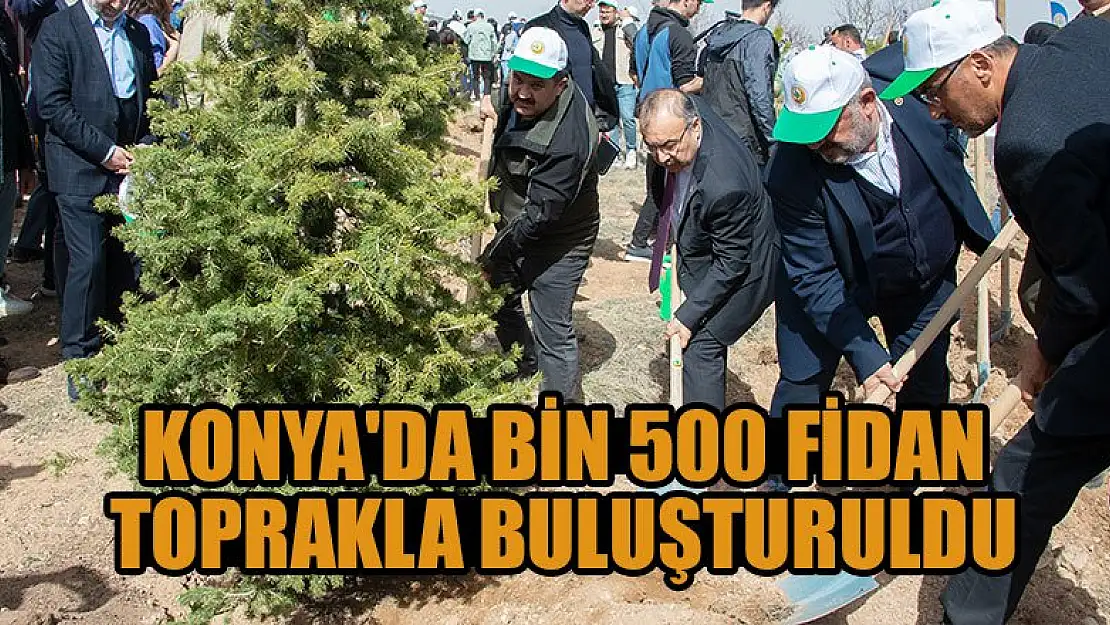 Konya'da bin 500 fidan toprakla buluşturuldu