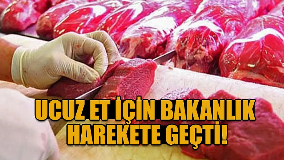 Ucuz et için bakanlık harekete geçti!