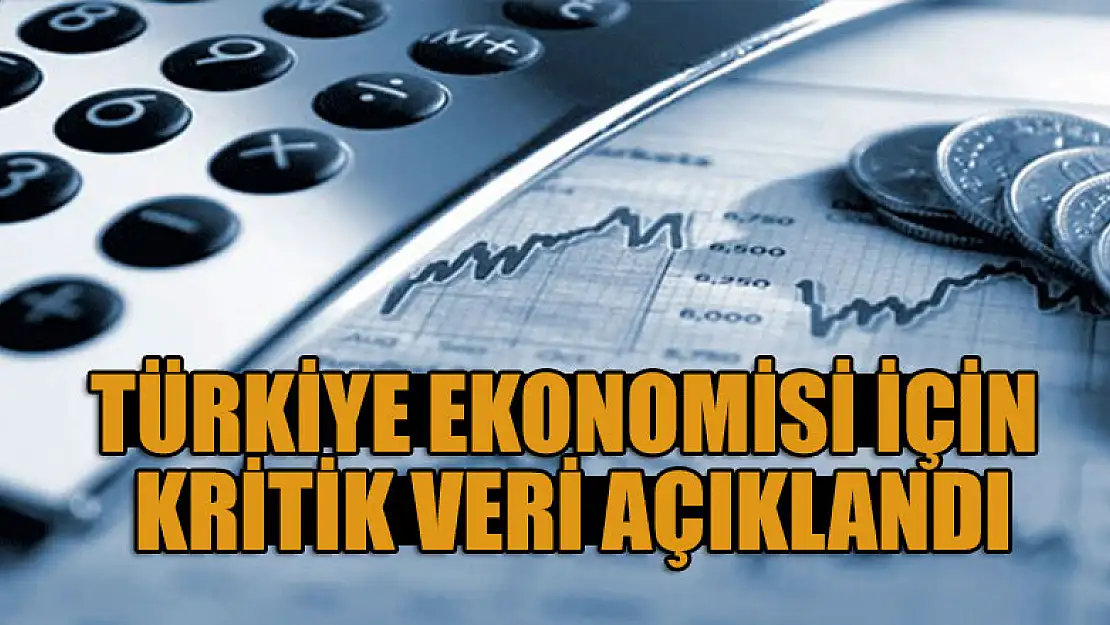 Türkiye ekonomisi için kritik veri açıklandı