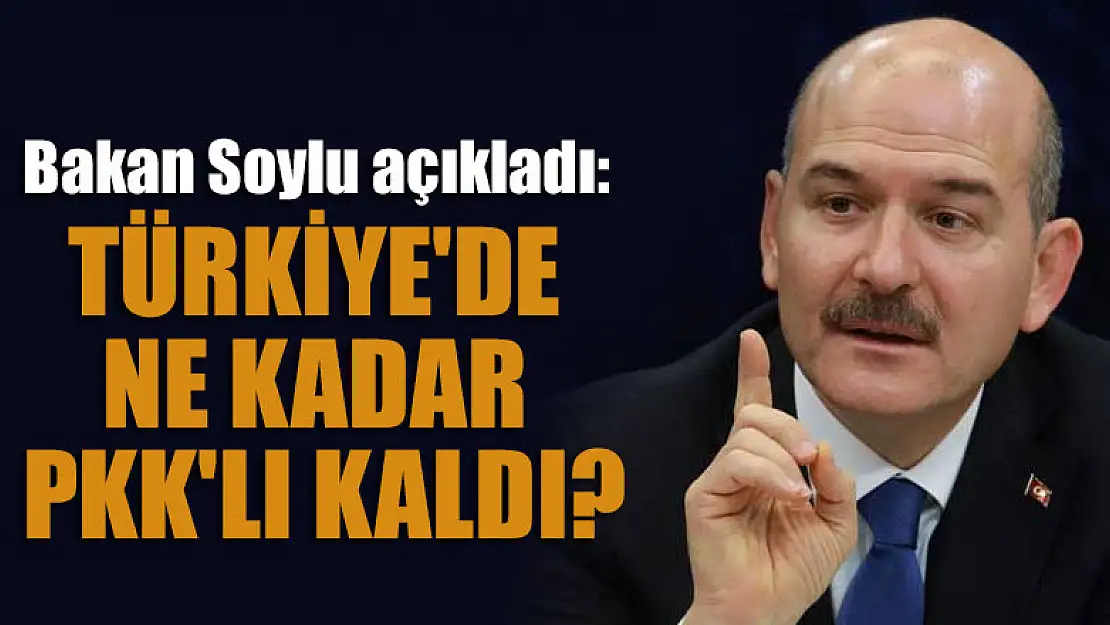 Bakan Soylu açıkladı: Türkiye'de ne kadar PKK'lı kaldı?