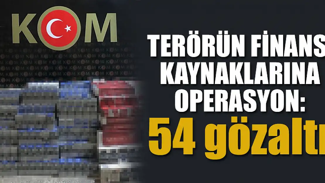 Terörün finans kaynaklarına operasyon: 54 gözaltı