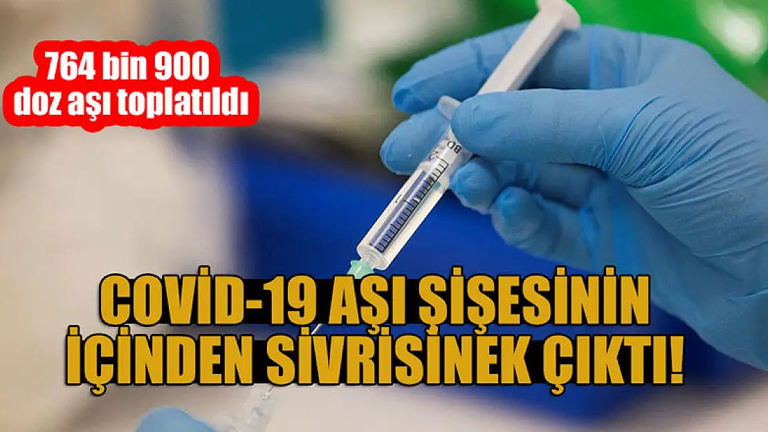 Covid-19 aşı şişesinin içinden sivrisinek çıktı!  764 bin 900 doz aşı toplatıldı