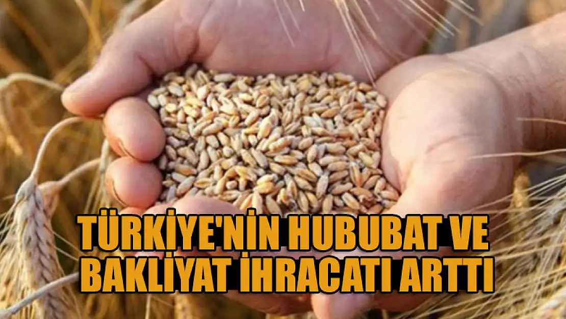 Türkiye'nin hububat ve bakliyat ihracatı ilk 3 ayda yüzde 40 arttı