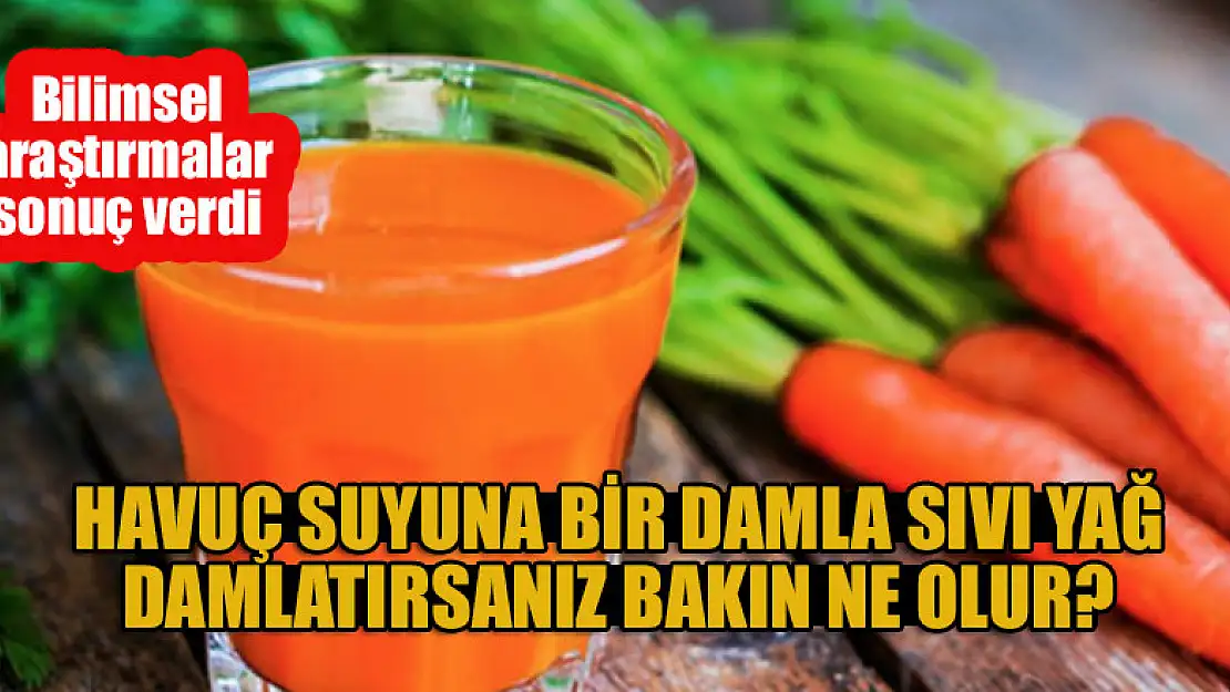 Havuç suyuna bir damla sıvı yağ damlatırsanız bakın ne olur? Bilimsel araştırmalar sonuç verdi