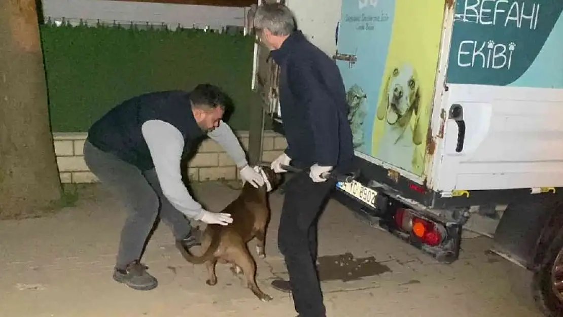 Alkollü şahıs tartıştığı eşini bıçaklayarak ağır yaraladı