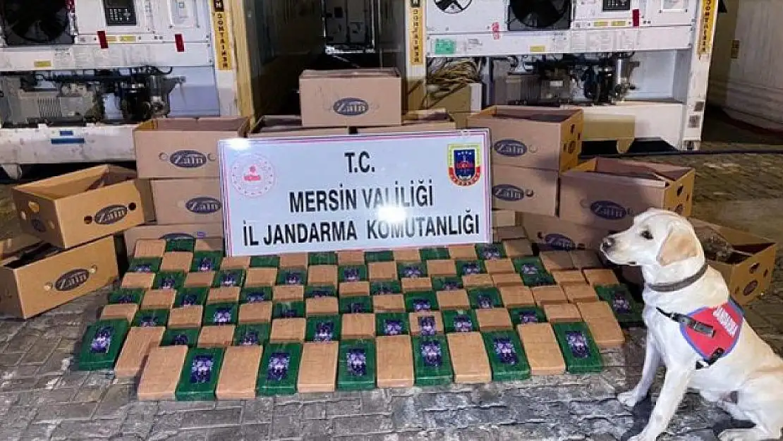 Mersin Limanı'nda 258 kilo kokain ele geçirildi