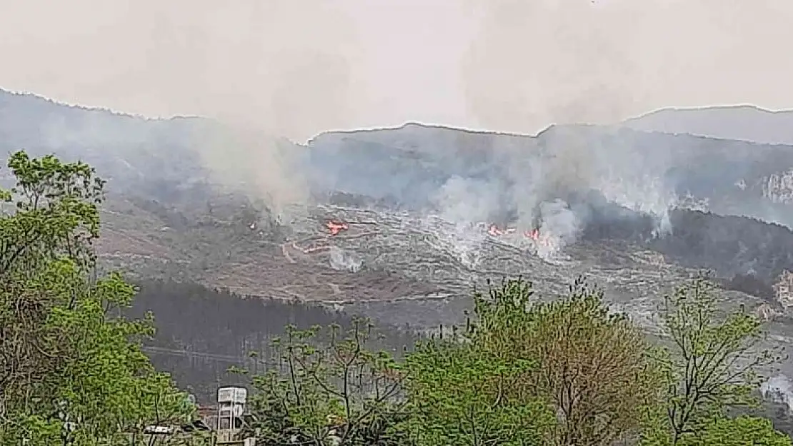 Hatay'da orman yangını iki noktada devam ediyor