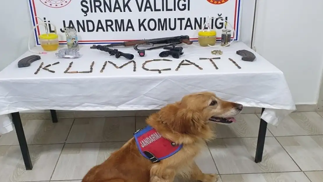 Şırnak'ta kaçakçılık ve asayiş operasyonu: 72 gözaltı