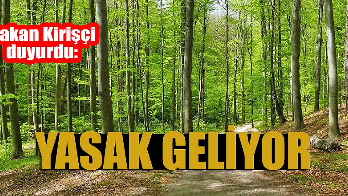 Bakan Kirişçi duyurdu: Yasak geliyor