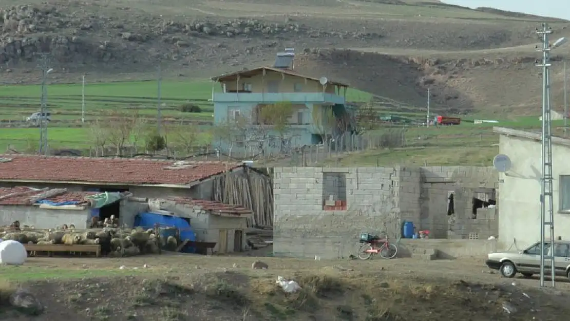 Hayvan sulatma meselesi kanlı bitti: 1 ölü, 2 yaralı