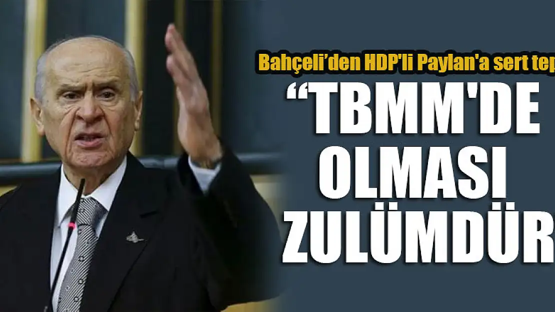 MHP Lideri HDP'li Paylan'ın '1915' teklifine tepki : TBMM'de olması zulümdür