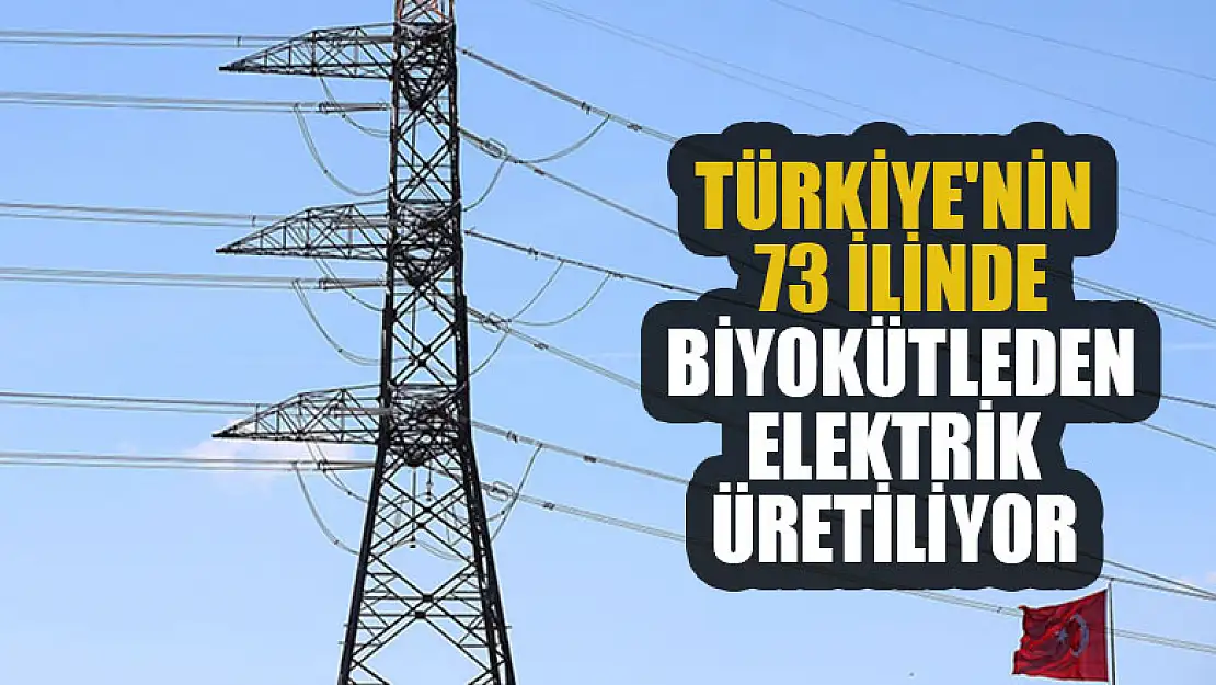 Türkiye'nin 73 ilinde biyokütleden elektrik üretiliyor