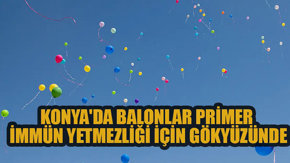 Konya'da balonlar, primer immün yetmezliğine dikkat çekmek için gökyüzünde