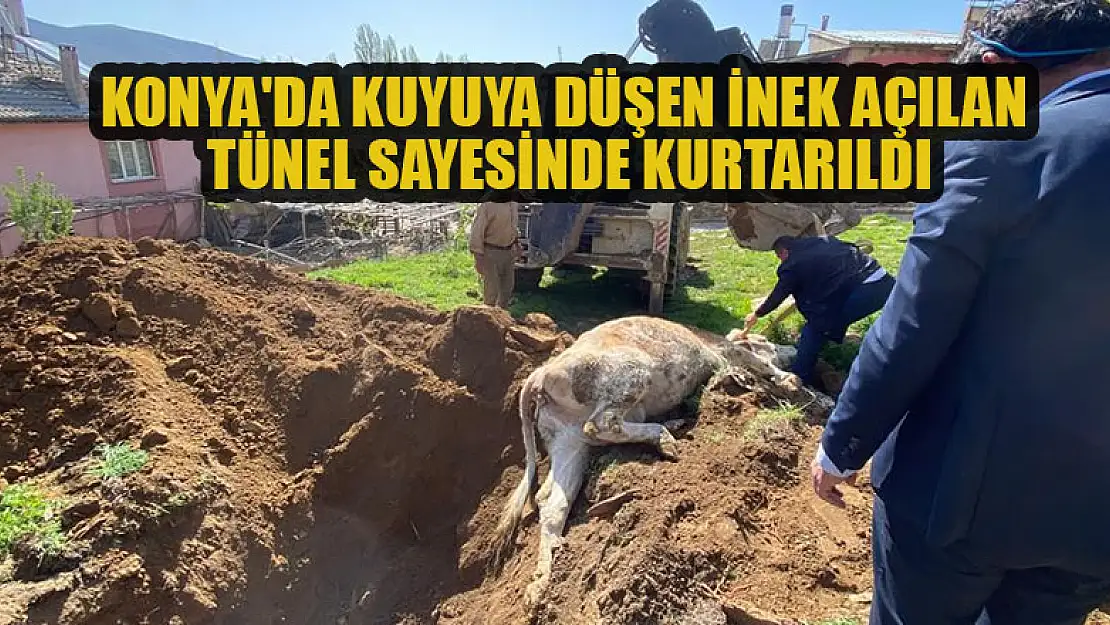 Konya'da kuyuya düşen inek açılan tünel sayesinde kurtarıldı