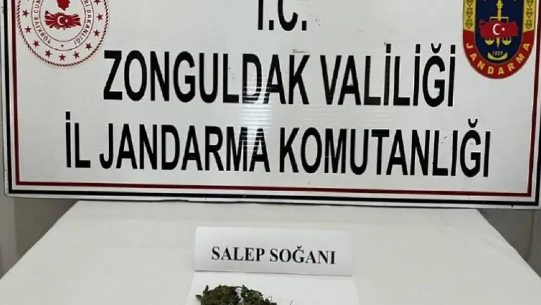 Jandarma şüphelendiği araçta 2 adet salep soğanı ele geçirdi