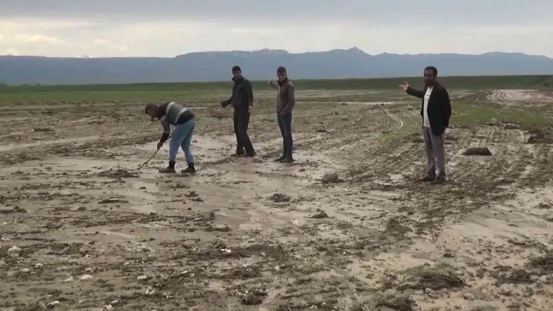 Muş'ta tarım arazileri su altında kaldı