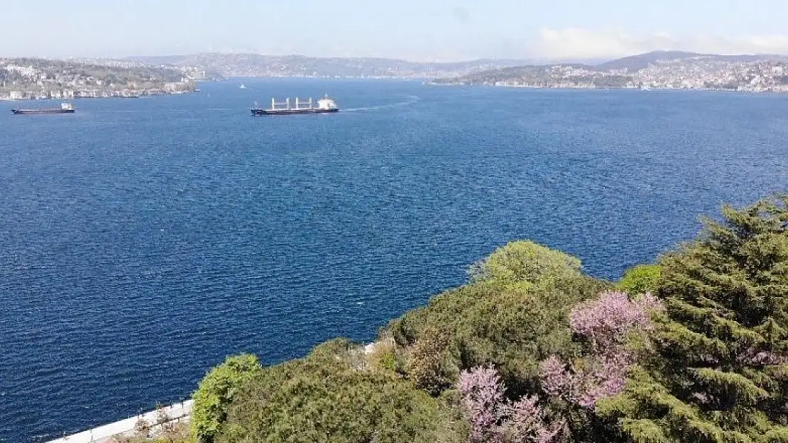 İstanbul Boğazı'nda çiçek açan erguvanlar kartpostallık görüntüler oluşturdu