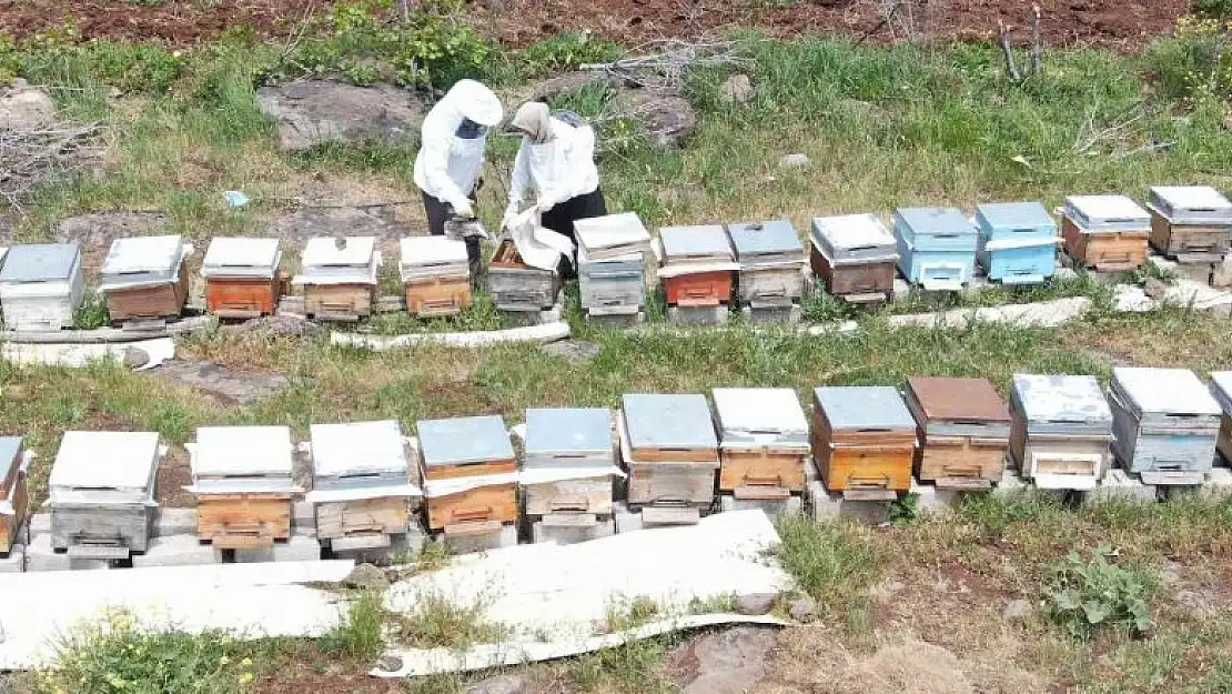 Bir anne şefkatiyle arılara bakıyor, hem sevgisini hem de emeğini veriyor