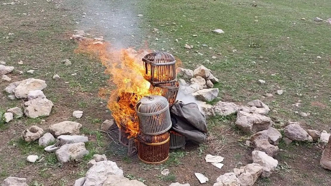 Şırnak'ta kınalı keklikler doğaya bırakıldı, kafesleri yakıldı