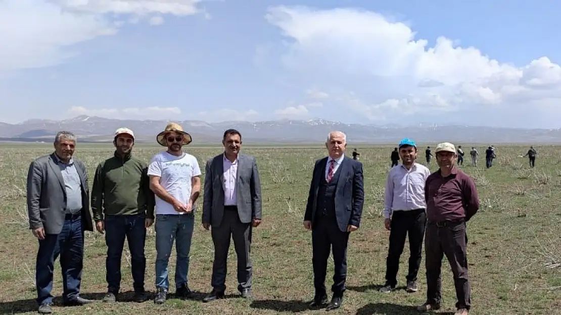 Van'da meralar ıslah ediliyor