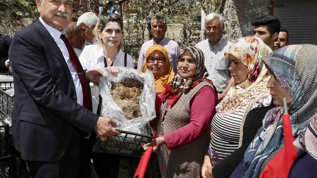 Pozantı'da 1 milyon 200 çilek fidesi dağıtıldı