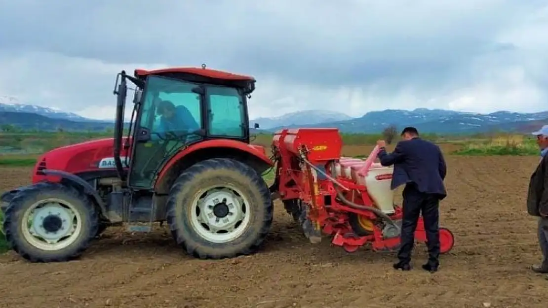 Erzincan'da ayçiçeği tohumları toprakla buluştu